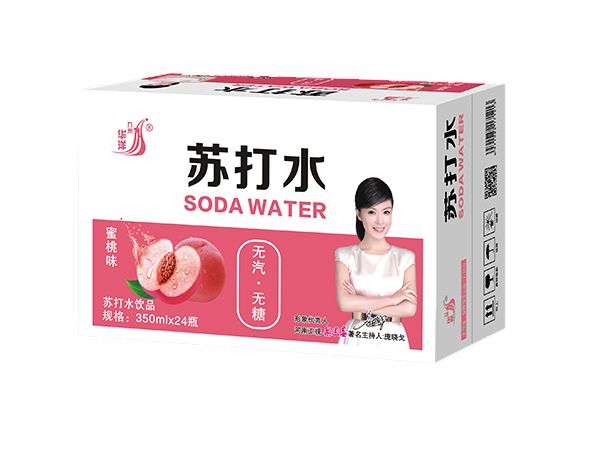 九州华洋苏打水水蜜桃味苏打水饮品招商350mlx24瓶