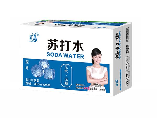 九州华洋苏打水原味苏打水饮品招商350mlx24瓶