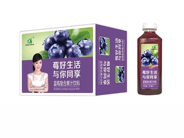 九州华洋 蓝莓复合果汁饮料招商480mlx15瓶