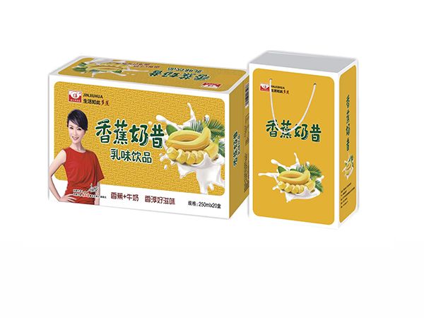 金九华饮品 香蕉奶昔 乳味饮品 250mlx20盒